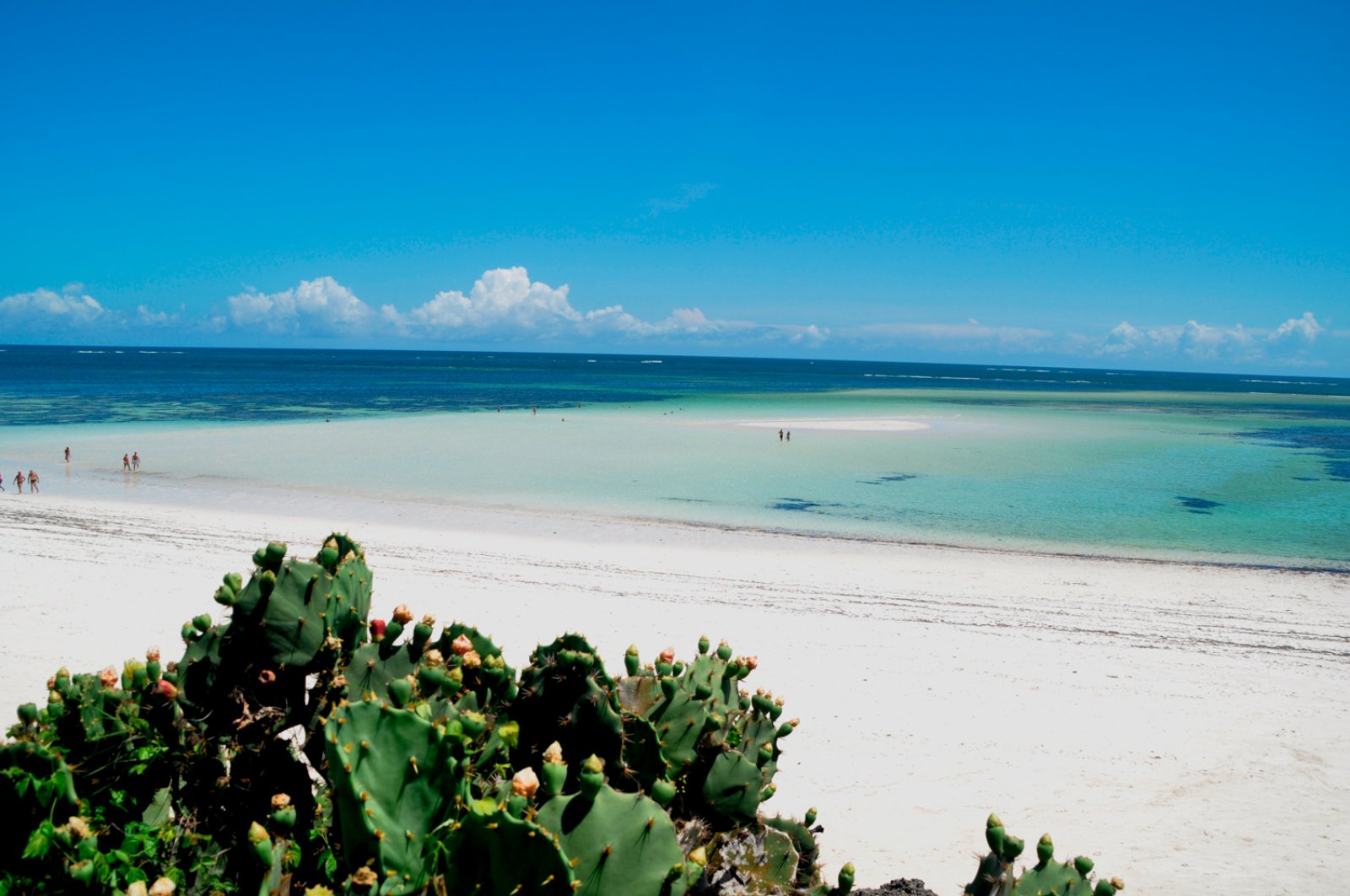 kenya-garoda-spiaggia.jpg