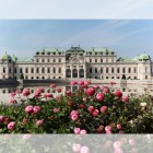 vienna-belvedere.jpg