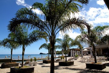 palm_beach_madagascar8.jpg